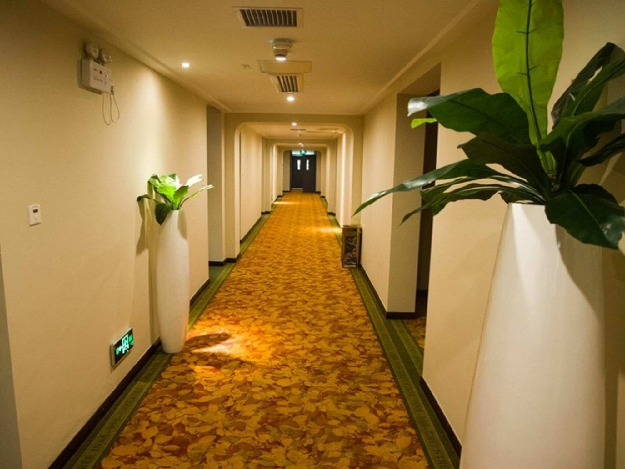 Greentree Inn Anhui Wuhu Zhongshan Road Pedestrian Street Express Hotel Exterior photo